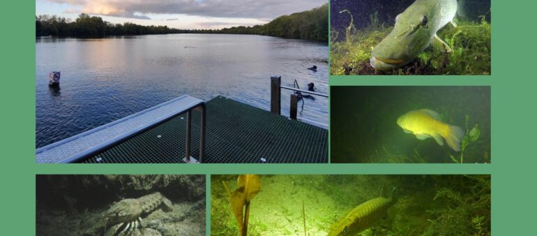 04-08-2023 Ekeren nachtduik: AOW opleiding